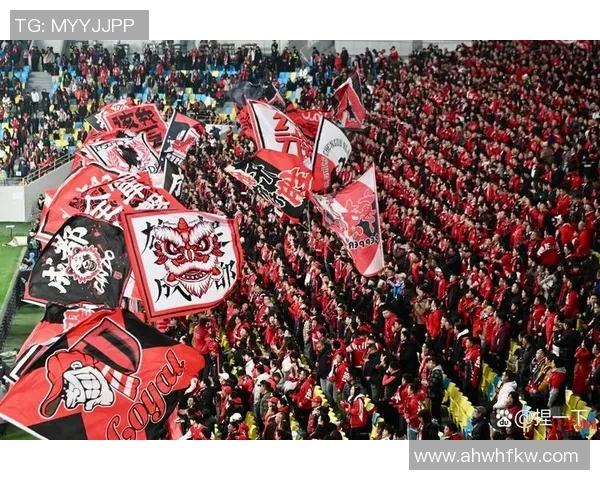 足球开市热潮来袭球迷狂欢盛宴即将开启