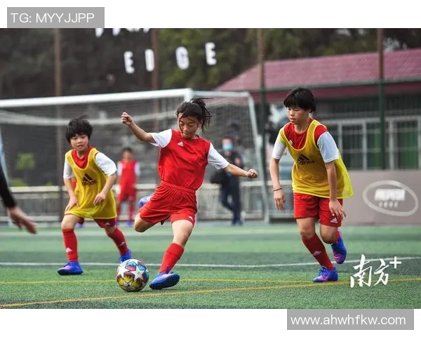 足球小将观众热情高涨共赴绿茵场见证青春梦想与激情碰撞