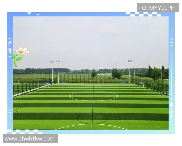 辽宁足球公园：探索足球文化与社区互动的新地标